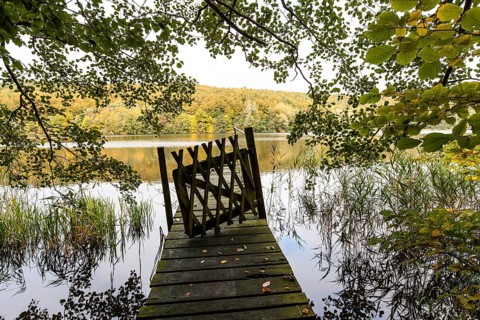 Jetty