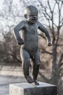 Sinnataggen'