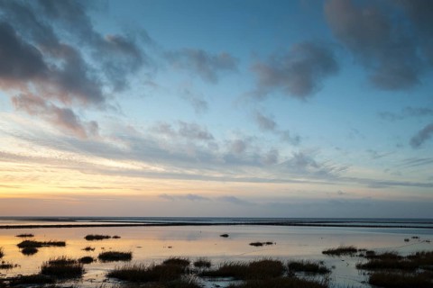 Evening mood in the Wadden Sea National Park