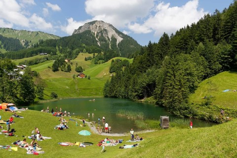 Seewaldsee lake near Fontanella