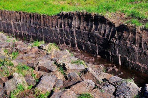 Cut peat in a bog on the Trotternish Peninsula