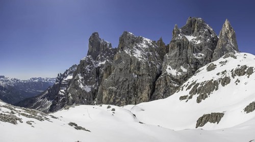 The Pala group