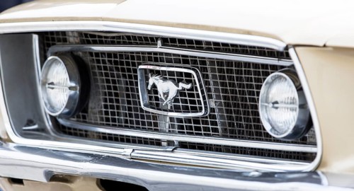 Radiator grill