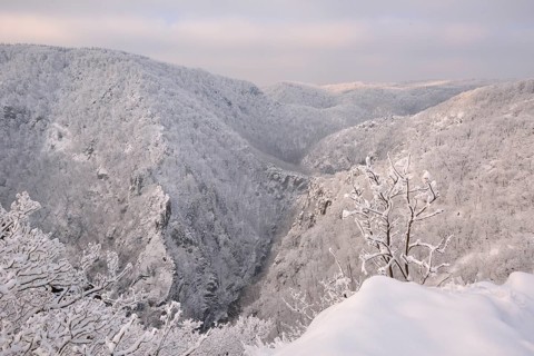 Winter landscape in the Bode Gorge