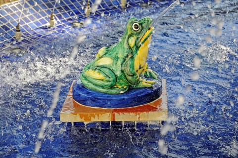 Frog spouting water