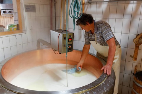 Cheese production in an Alpine dairy