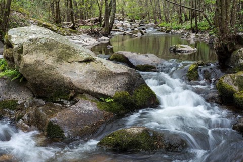 La Daronne mountain stream in the Ardeche