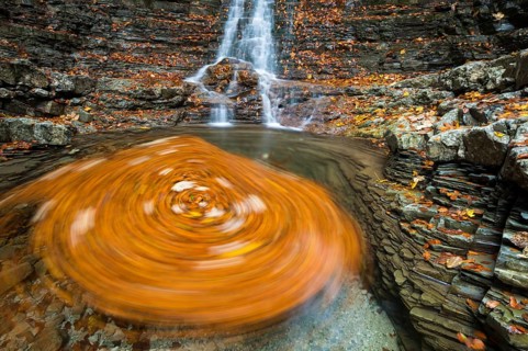 Swirling leaves in a Taugl river inlet