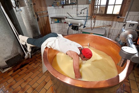 Dairyman spreading the cloth in a copper kettle to separate the whey from the curd and to skim off the cottage cheese