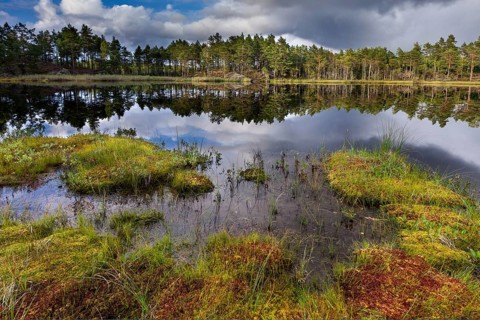 Naveretjarn Lake