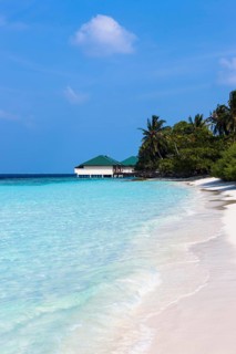 Bungalows on the coast