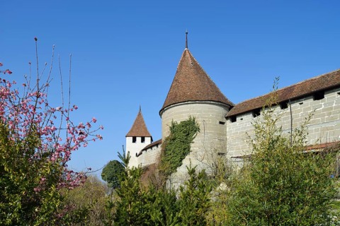 City wall with towers