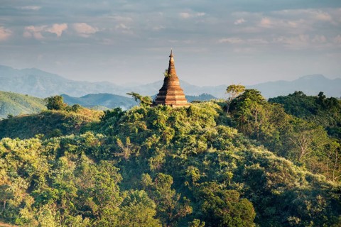 A pagoda is surrounded by trees