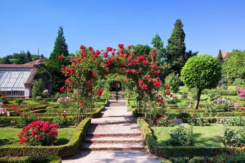 Town park