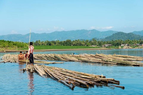 Bamboo transport