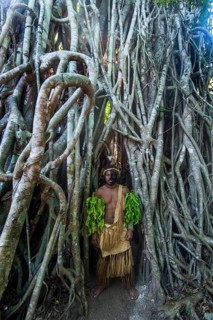 Traditional dressed man with black face standing in a giant banyon tree