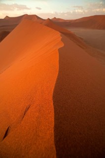 Sossusvlei dunes in the morning light