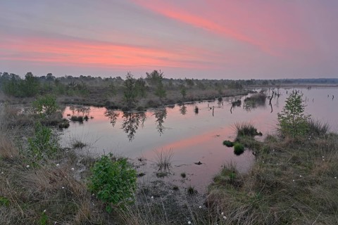 Sunrise in the Hahnenmoor nature reserve