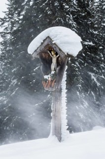 Wayside shrine during a snowstorm