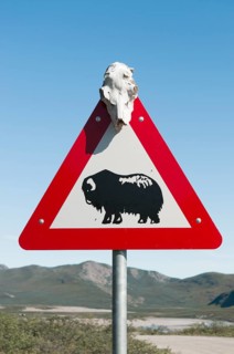 Road sign