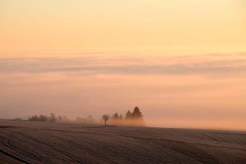 Early morning at Witthoh ridge