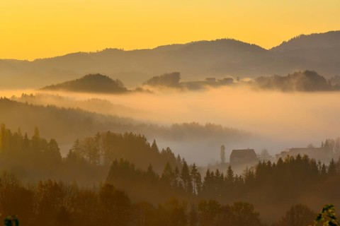 Morning mist in the Southern Styrian hill country