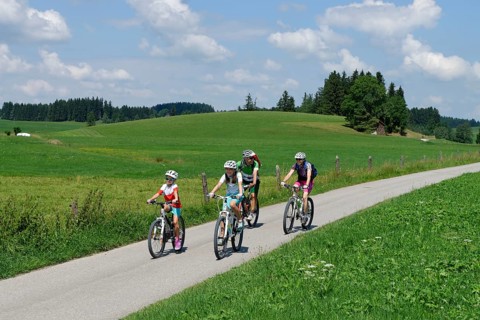 Family on a bicycle tour