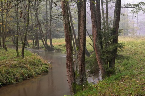 River in autumn in Kirnischtal valley