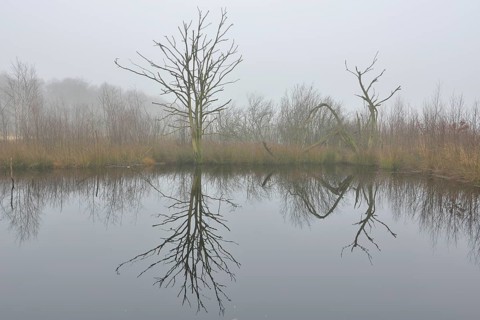 High moor in autumn