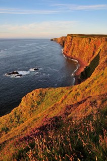 Steep coast near Duncansby Head in the morning light