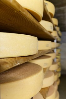 Maturation cellar for Alpine cheese
