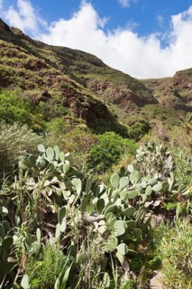 Barranco de Guayadeque gorge