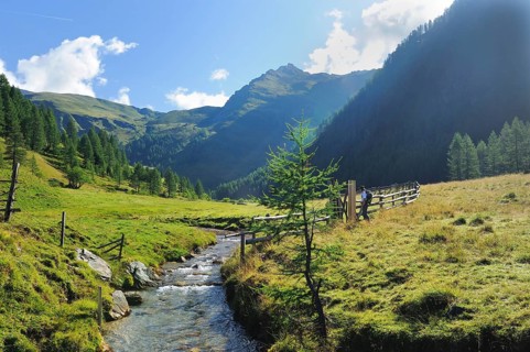Mountain stream in the Alps