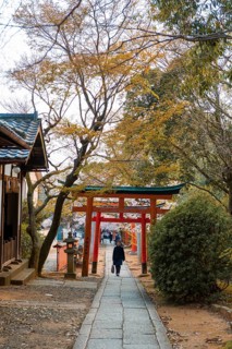 Japanese runs between Torii gates