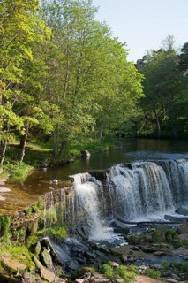 Waterfall