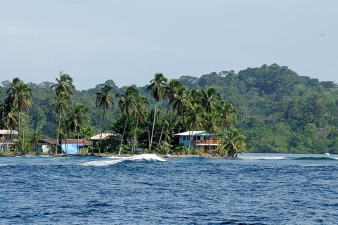 Buildings on the Palm Coast