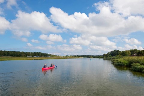 Canadian canoe on the Prerower Strom river near Prerow