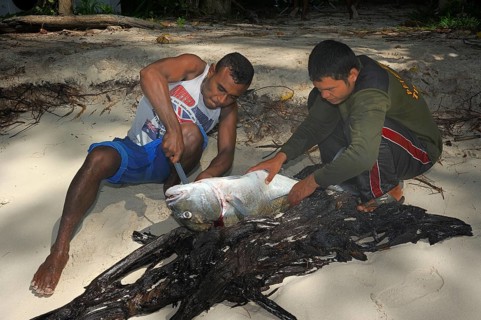 Fishermen gutting a large fish