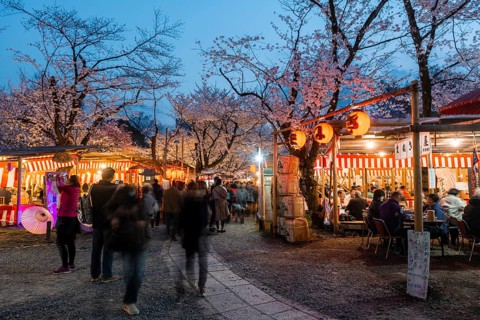 Food stalls at the cherry blossom festival