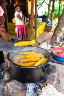 Boiled corn cobs at a cookshop by the roadside