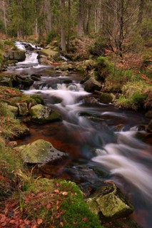 Lower Bodefall