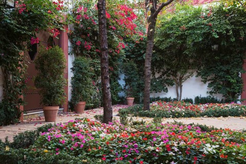 Verdant patio in the mansion Casa de Pilatos