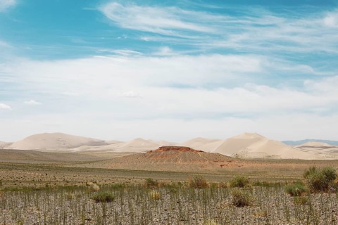 Steppe and sand dunes of Khongoryn Els