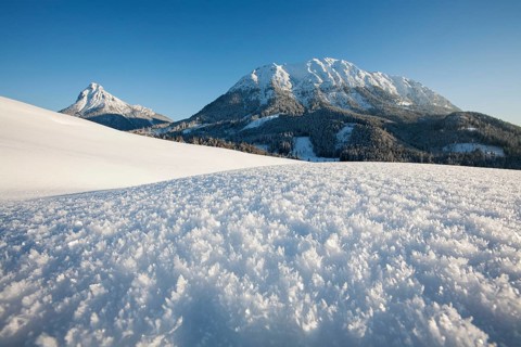 Ice crystals in a winter landscape