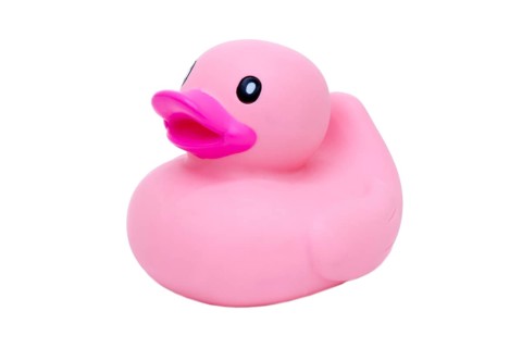 Pink rubber duck