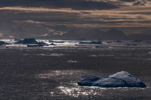 Moody light over the icebergs and glaciers