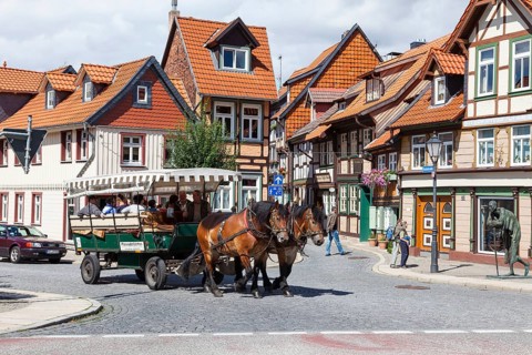 Horse-drawn carriage