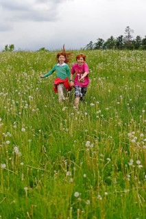 Two children running on a meadow with blowballs
