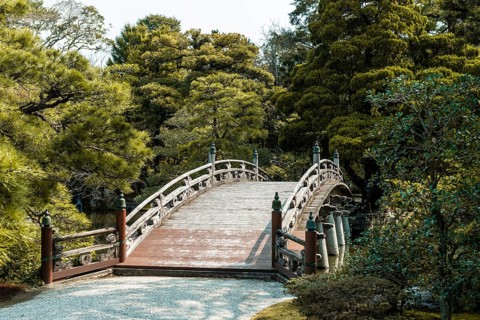 Garden with bridge