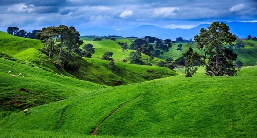 Green rolling hills